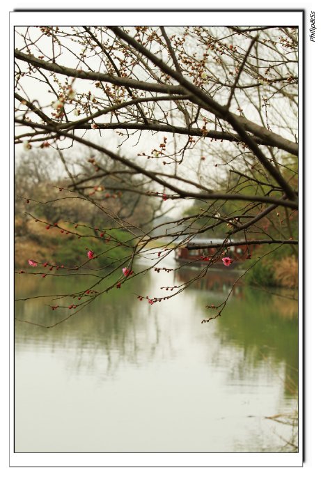 西溪且留下——时隔九年的转变