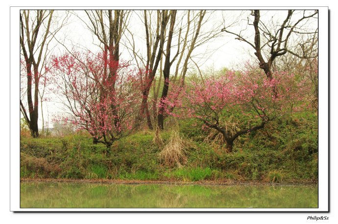 西溪且留下——时隔九年的转变