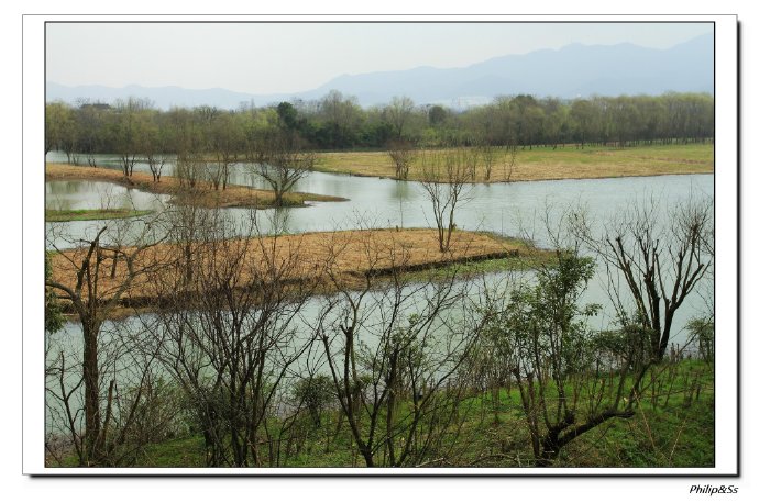 西溪且留下——时隔九年的转变