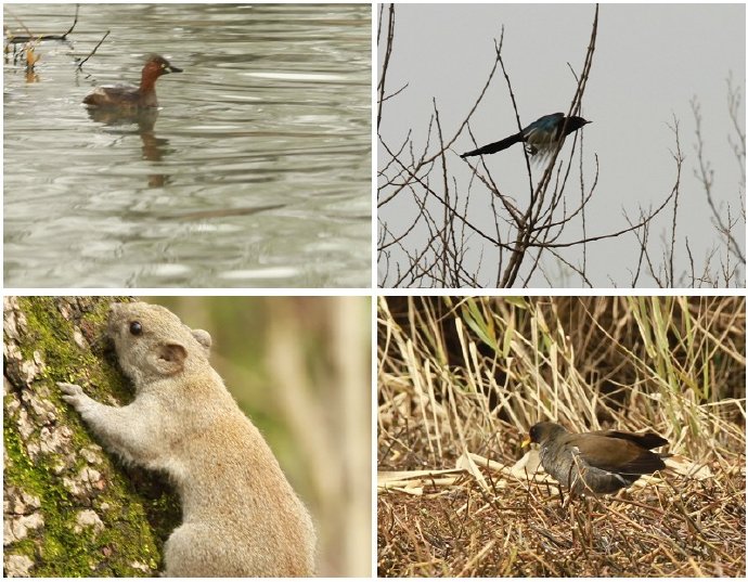 西溪且留下——时隔九年的转变
