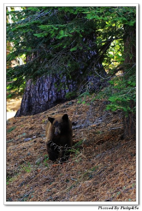 遇见最美的落日moro\u00a0rock