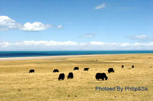 青海行记（五）——海，还是湖？