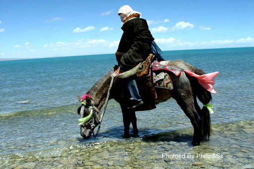 青海行记（五）——海，还是湖？