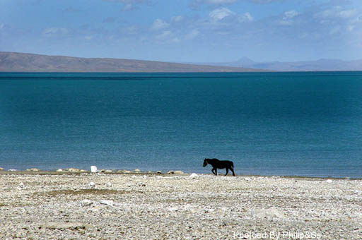 青海行记（五）——海，还是湖？