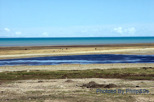 青海行记（五）——海，还是湖？