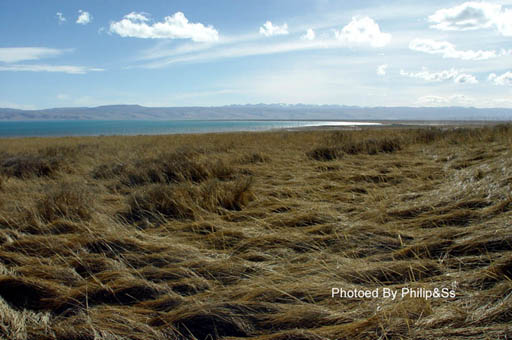 青海行记（六）——青天碧海盟浴鸥