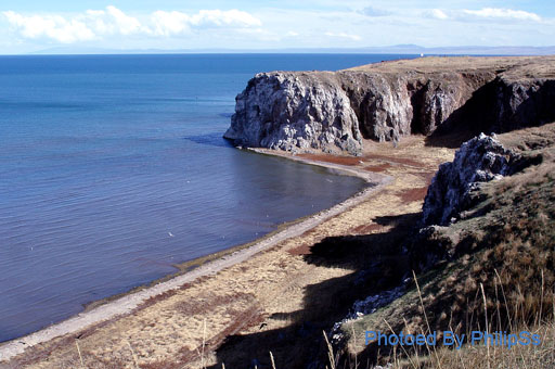 青海行记（六）——青天碧海盟浴鸥