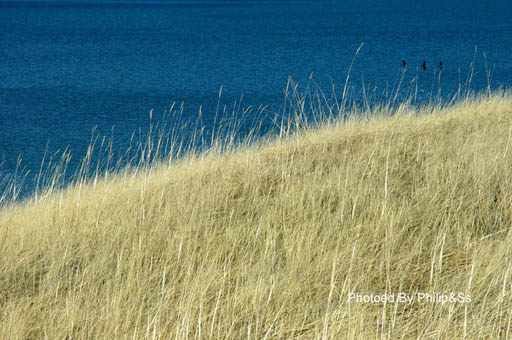 青海行记（六）——青天碧海盟浴鸥