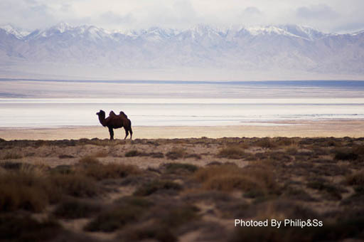 青海行记（四）——与中国最美丽的湖相遇